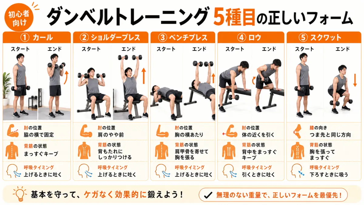 初心者向けダンベル基本5種目のフォーム図解