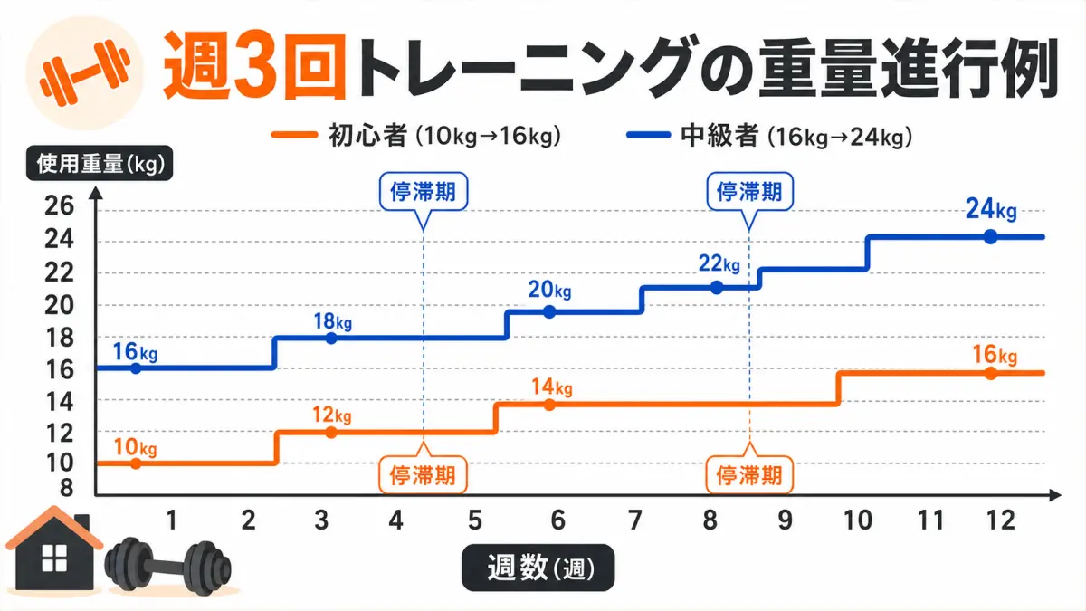 12週間の重量進行グラフ